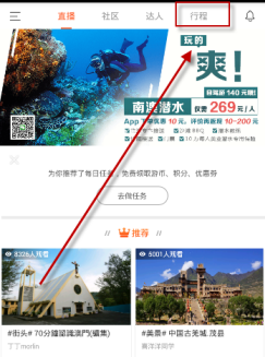 60岁榕树影响出行市民起诉砍伐被驳